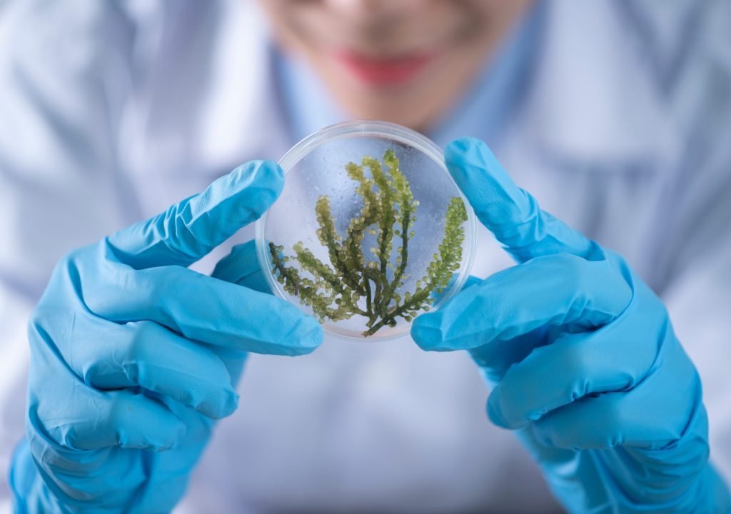 pexels-chokniti-khongchum-2280568